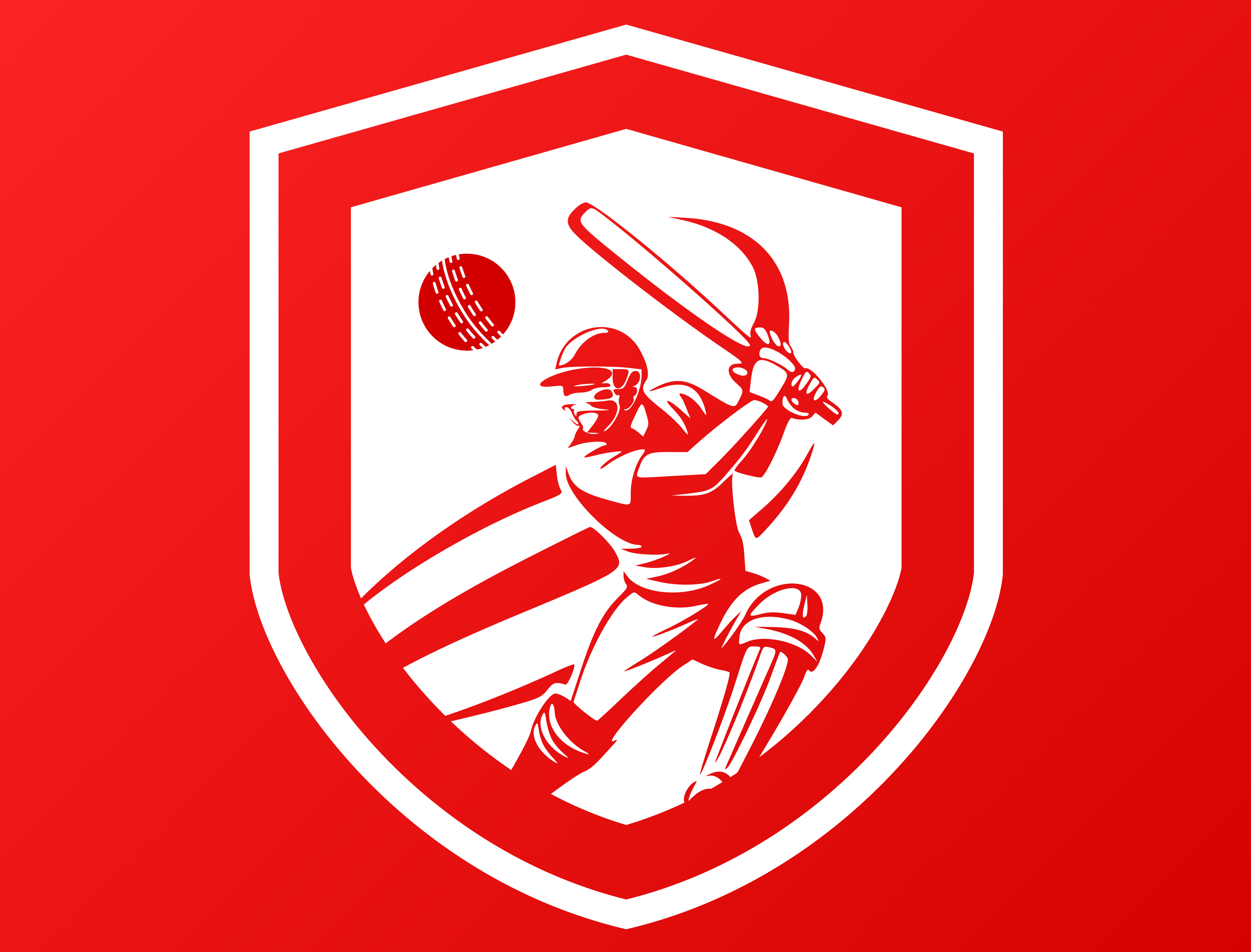 Palamu11 Fantasy Cricket Logo